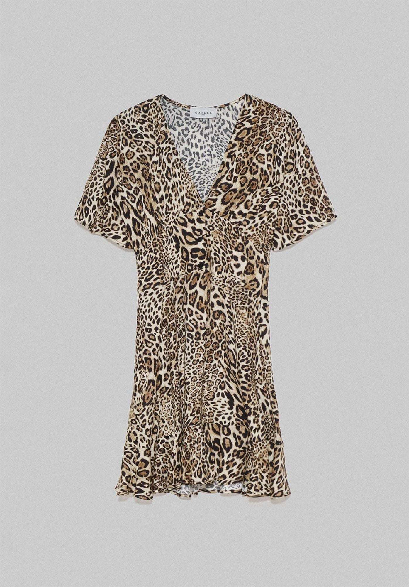 Leo Viscose Dress