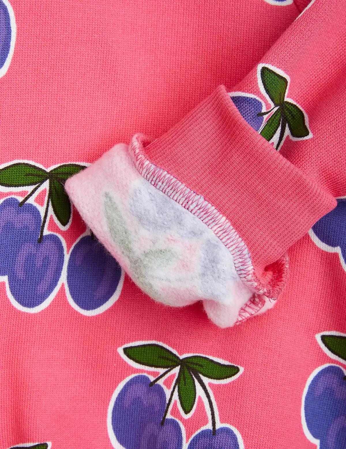 Pink Plum Sweatshirt