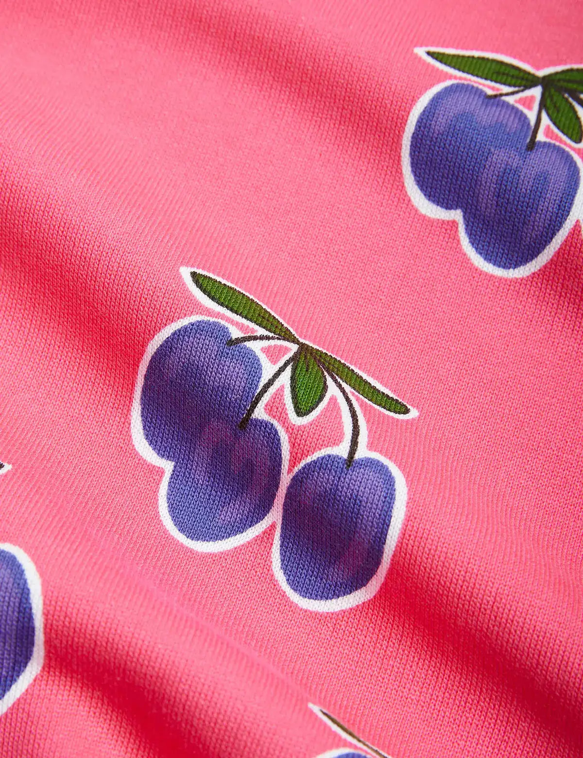 Pink Plum Sweatshirt