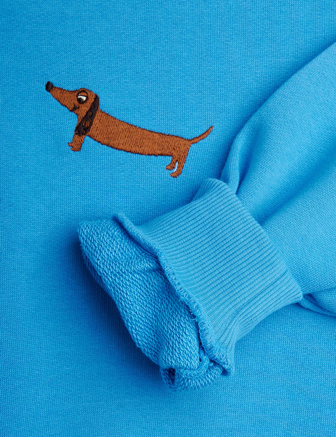 Dog Embroidered Blue Sweatshirt