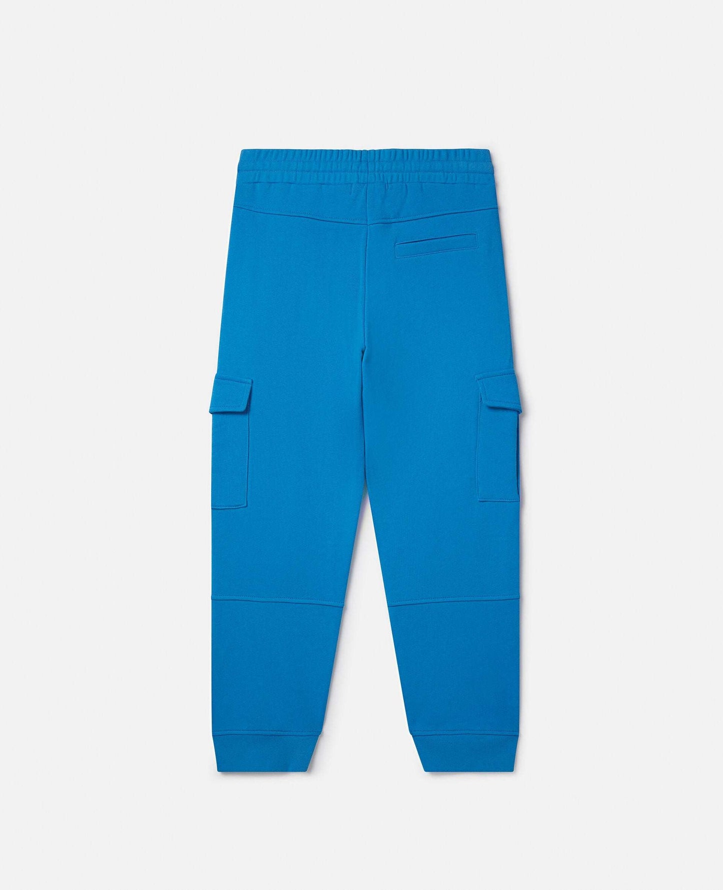 Cargo Joggers Blue