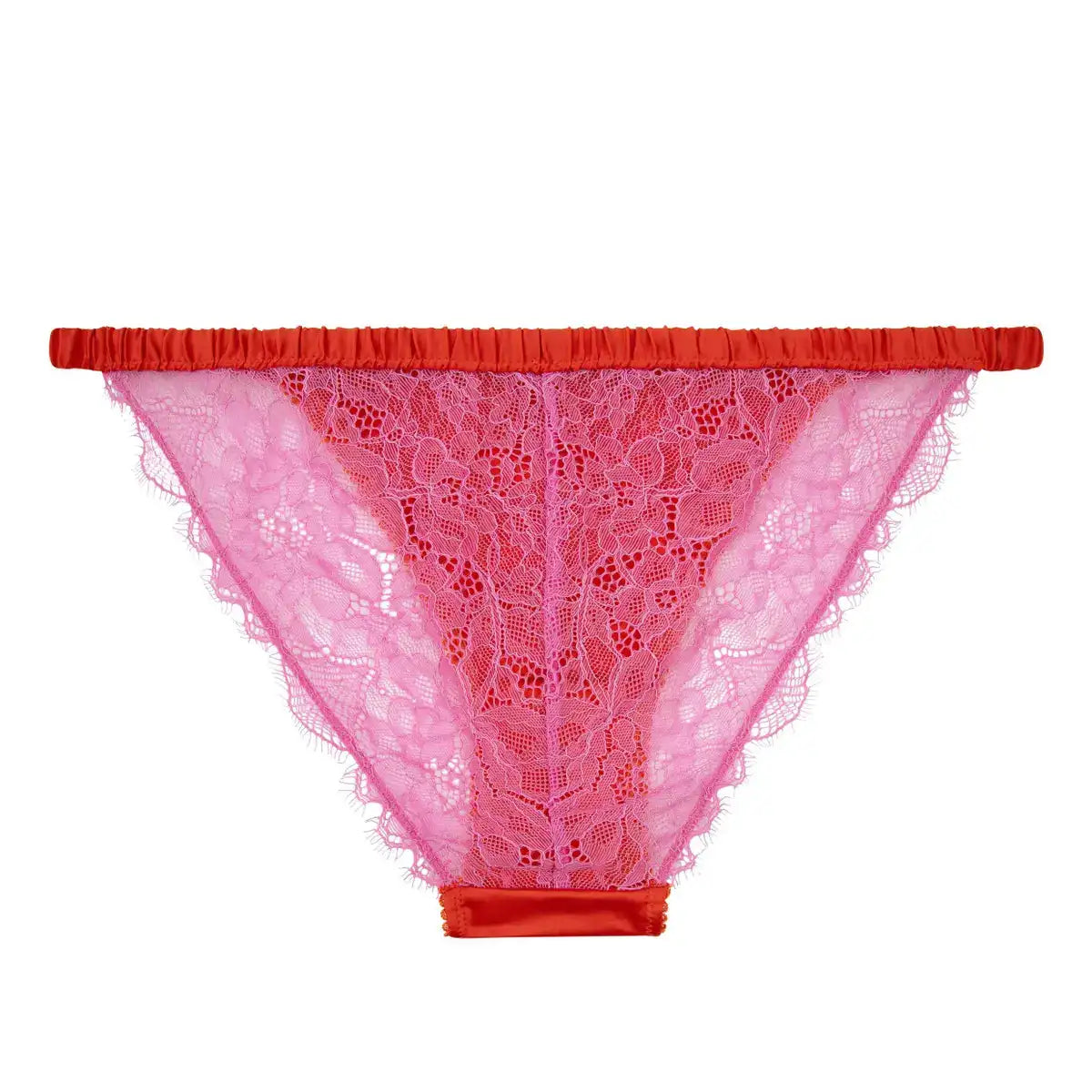 Wild Rose Delicate Lace Briefs