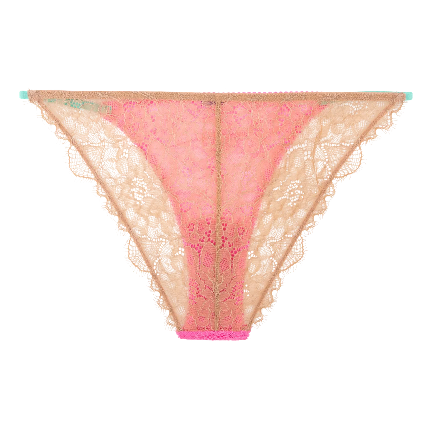 Wild Rosie Lace Briefs