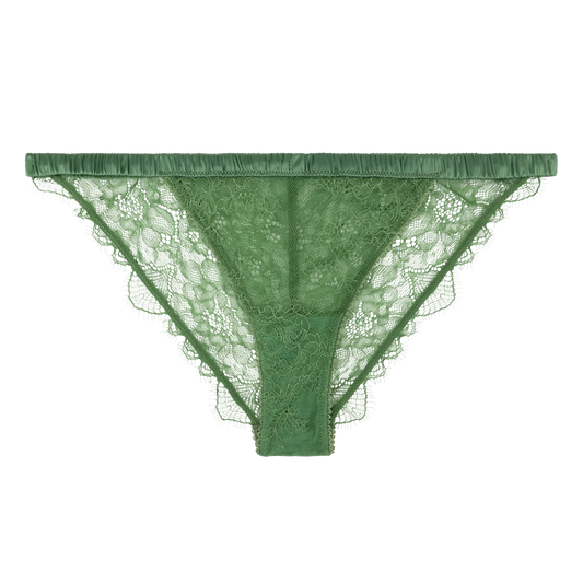 Wild Rose Comfortable Lace Briefs