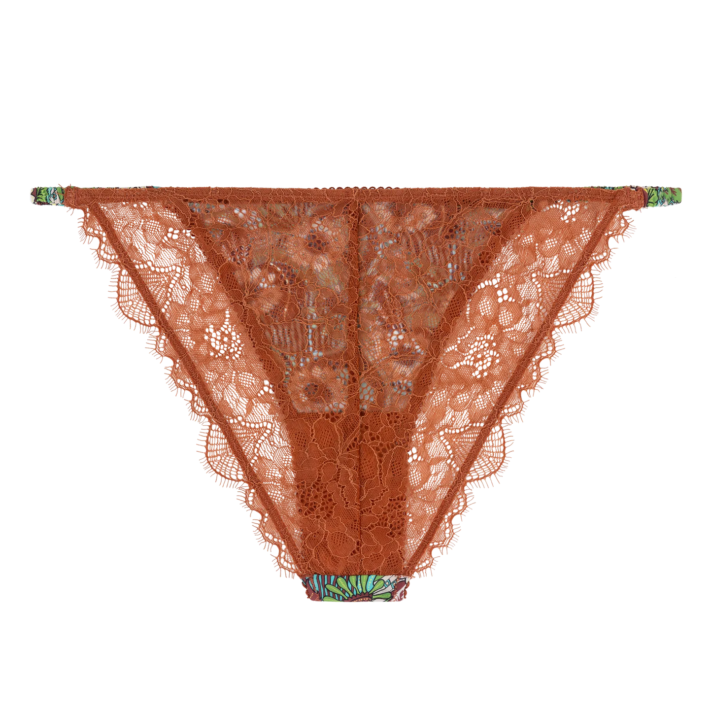 Wild Rose Floral Print Briefs