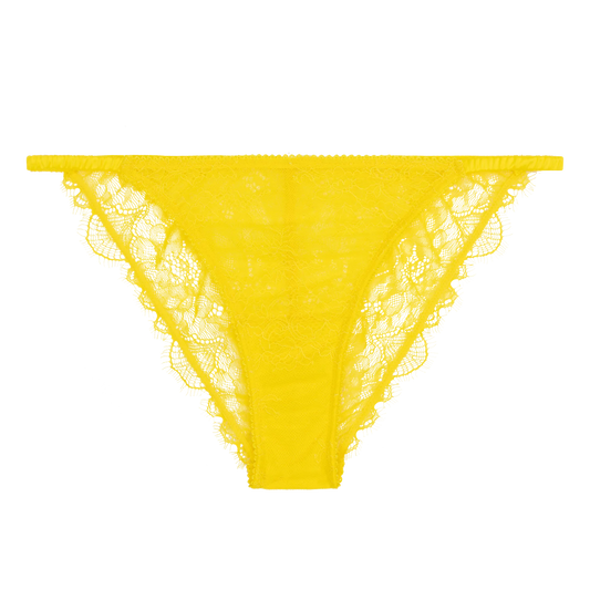 Wild Rose Yellow Delicate Briefs