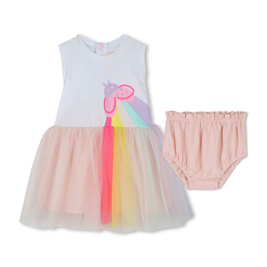 Ladybug Rainbow Baby Dress
