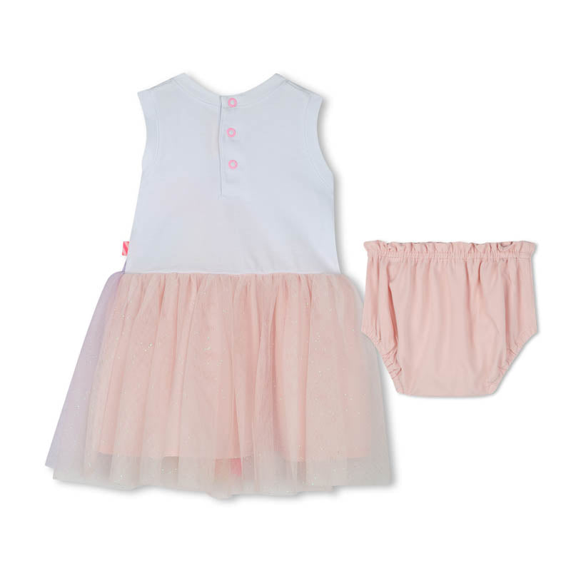 Ladybug Rainbow Baby Dress