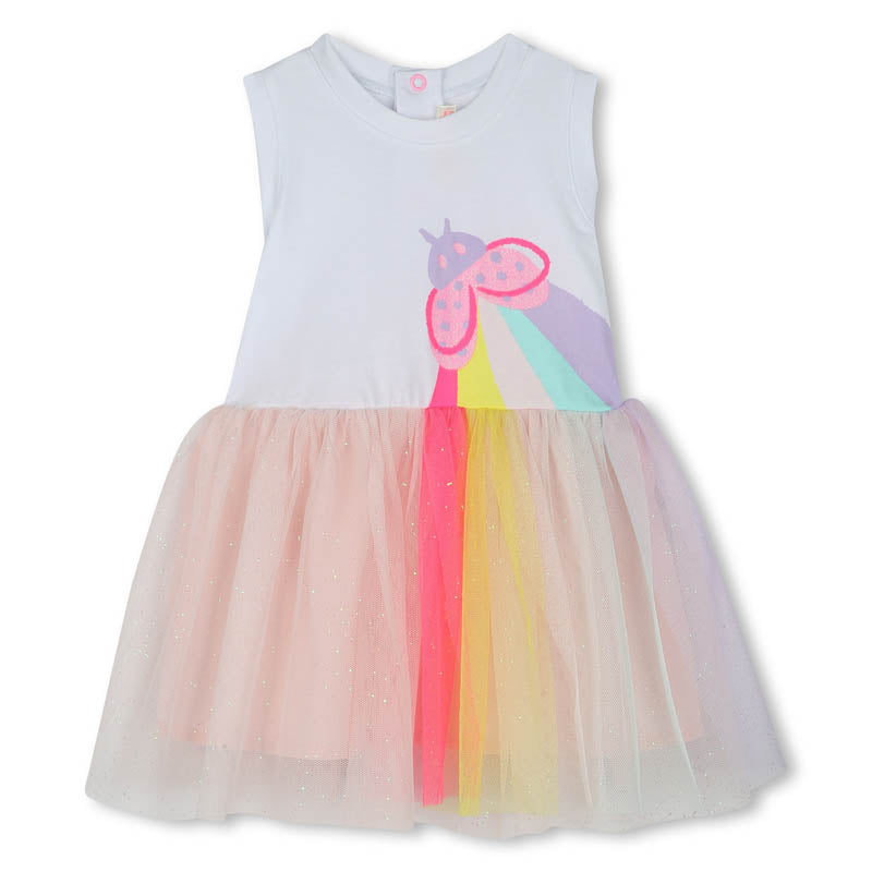 Ladybug Rainbow Baby Dress