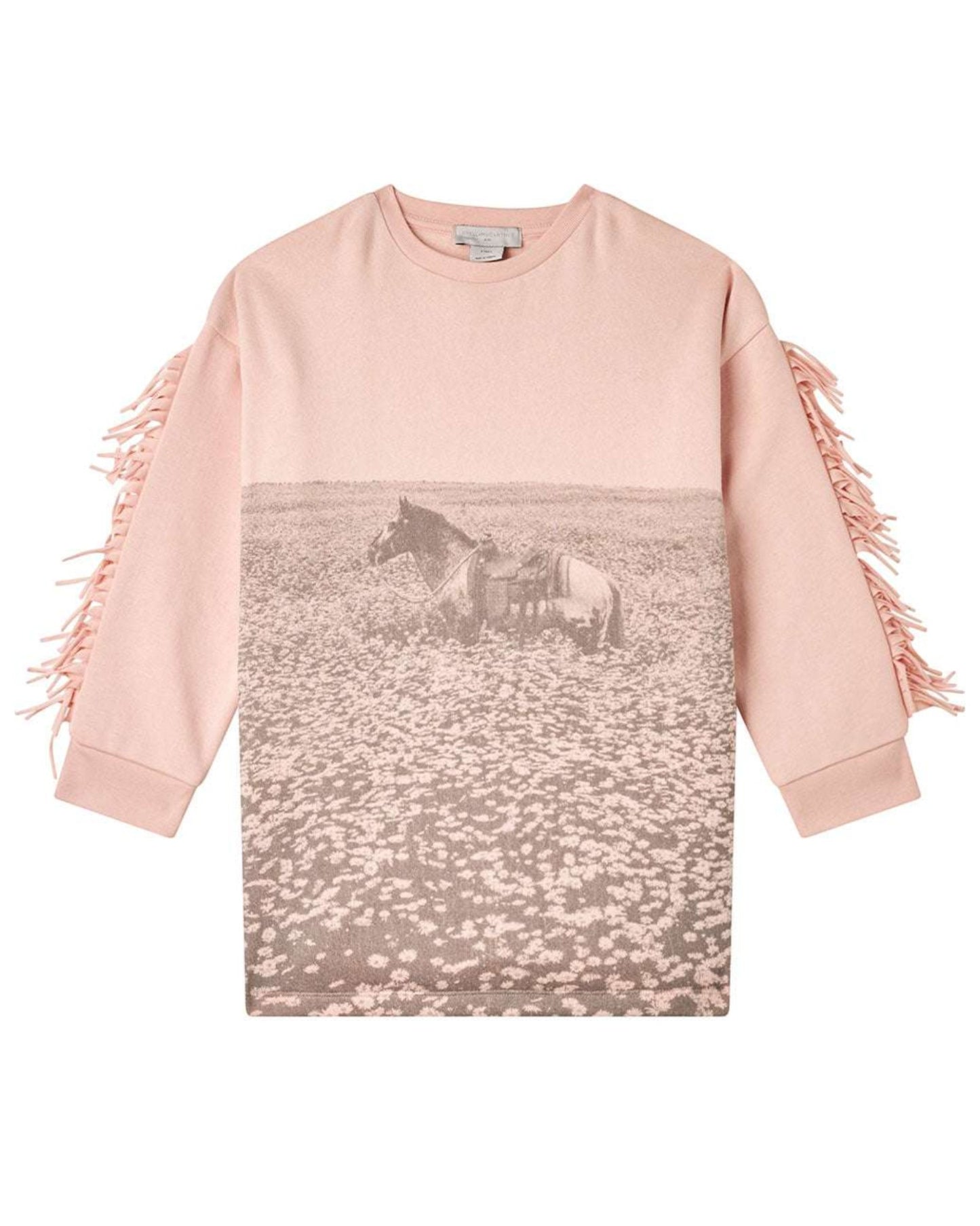 Pink Horse Dress
