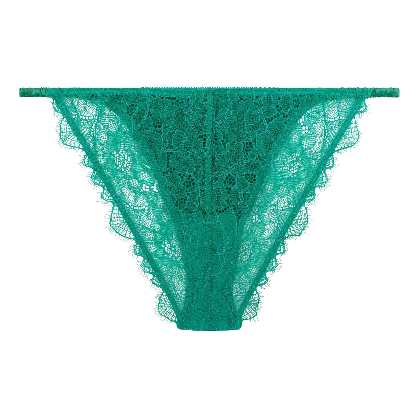 Wild Rosie Green Lace Briefs