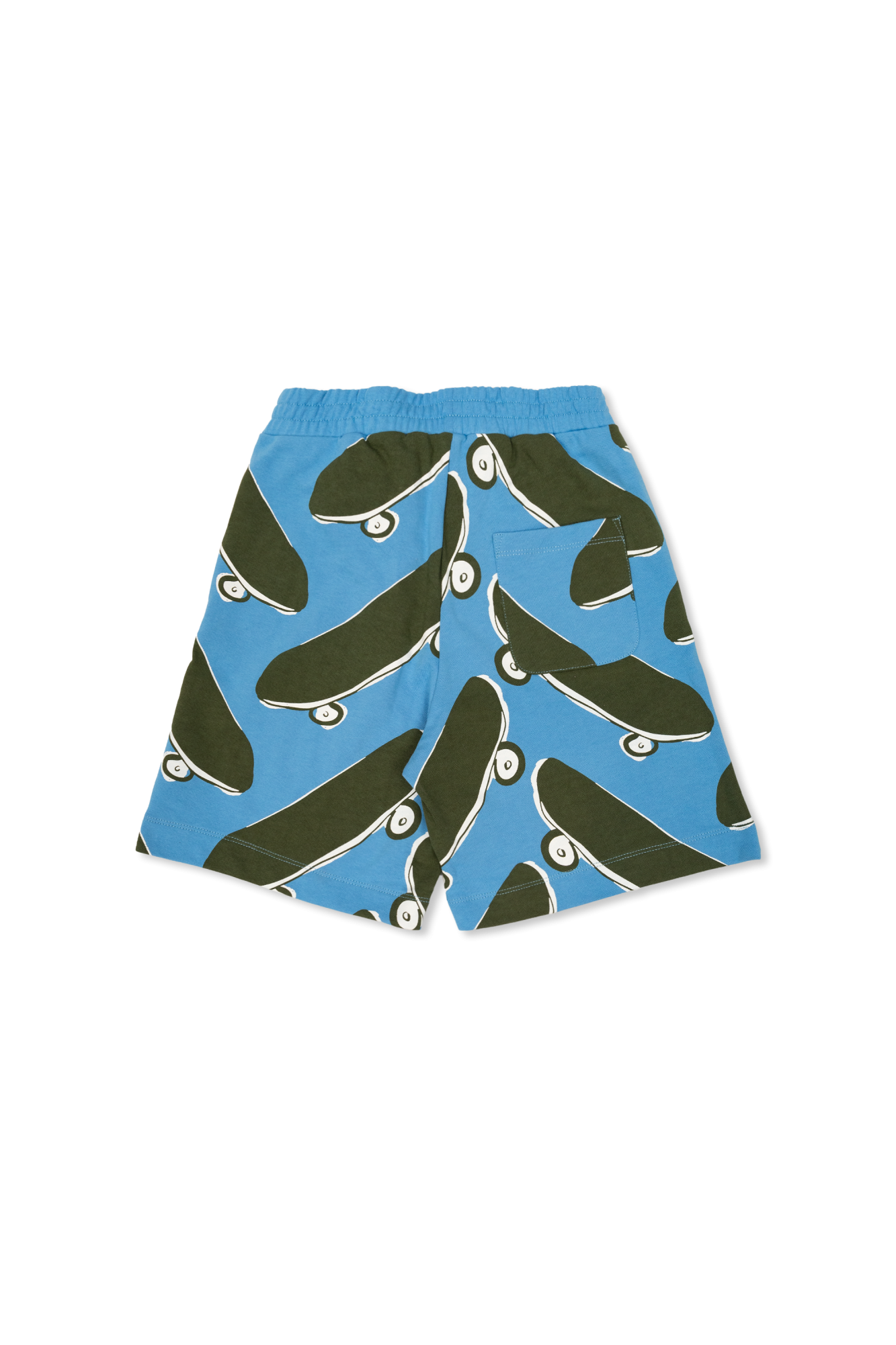 Blue Skate Shorts
