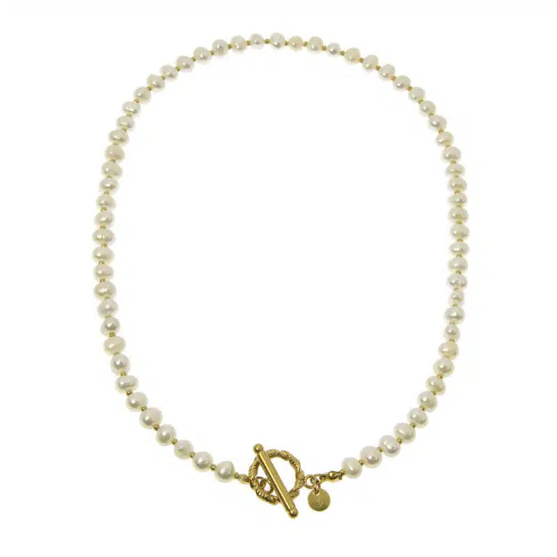 Hamlet Steel Collar