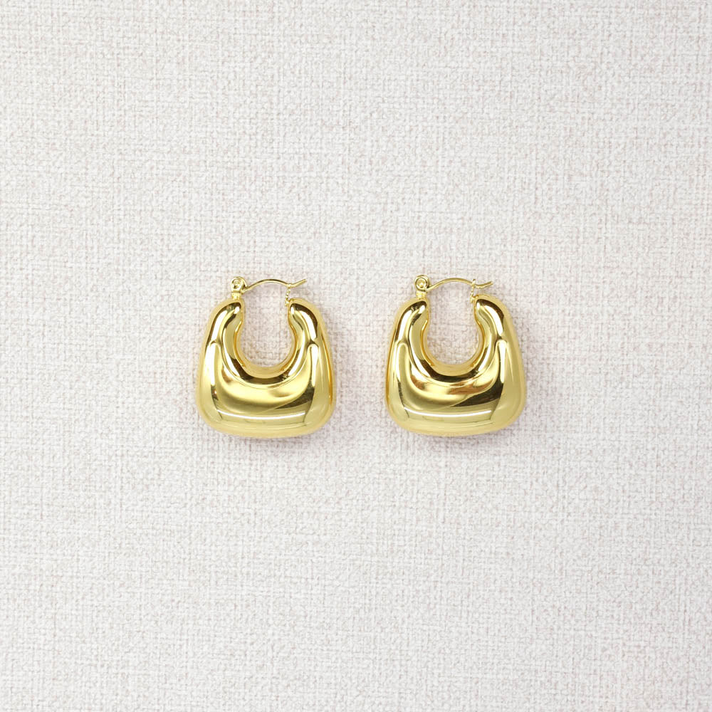 Ramonda Steel Earrings