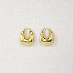 Ramonda Steel Earrings