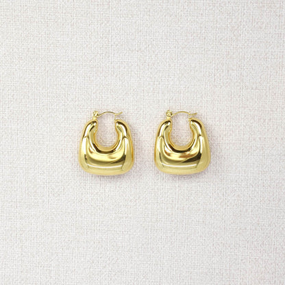 Ramonda Steel Earrings