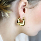 Ramonda Steel Earrings