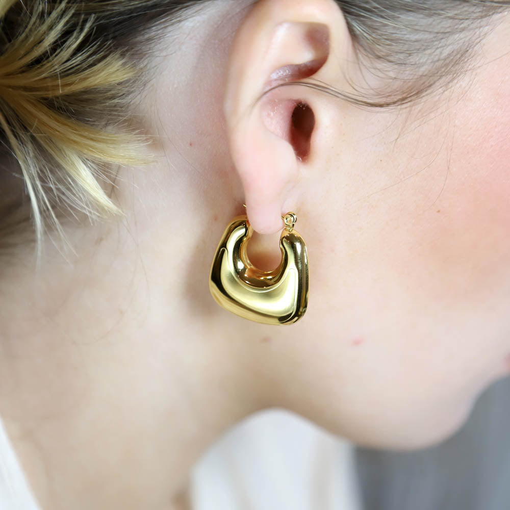 Ramonda Steel Earrings