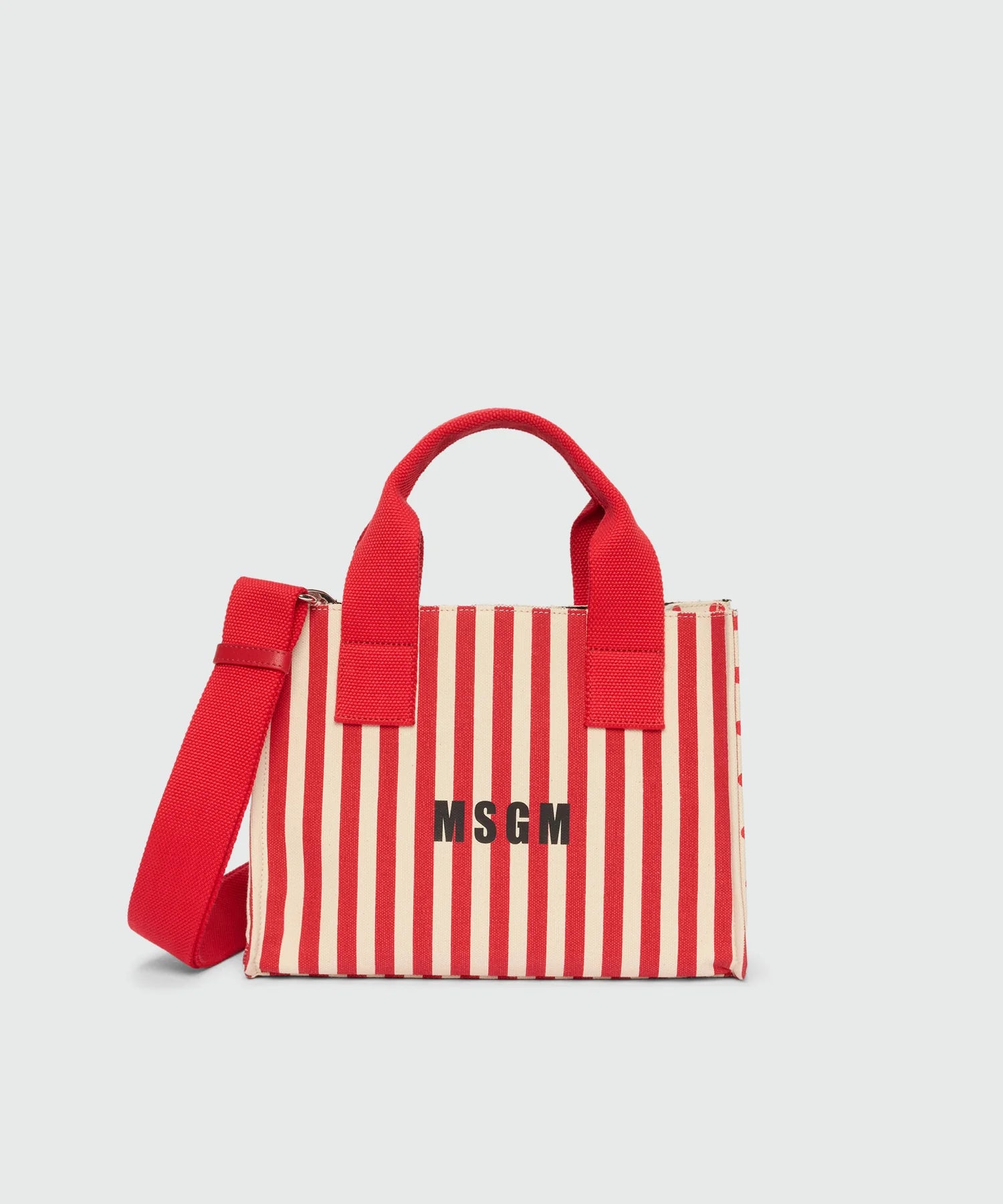 Small Canvas Tote Bag
