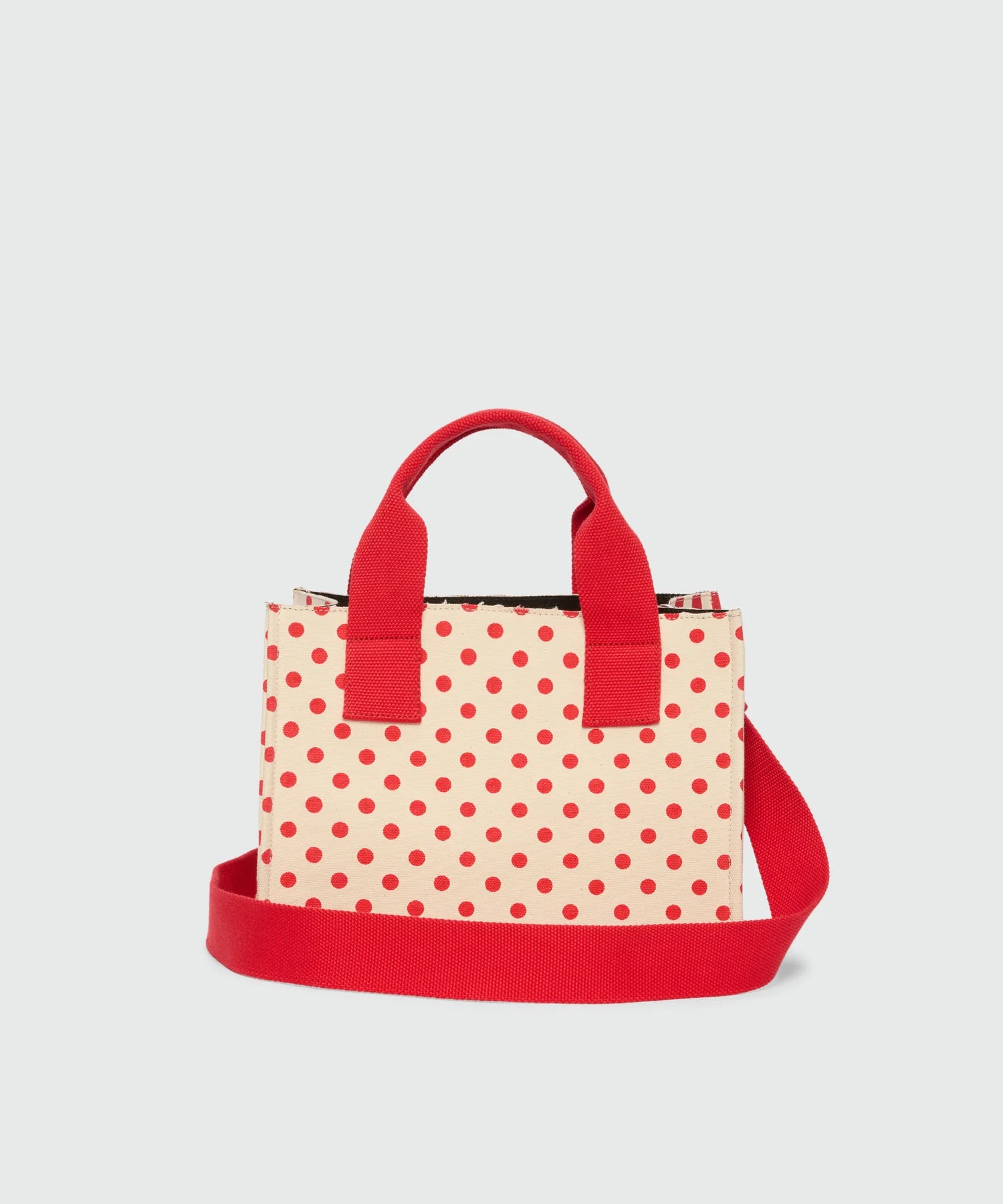 Small Canvas Tote Bag