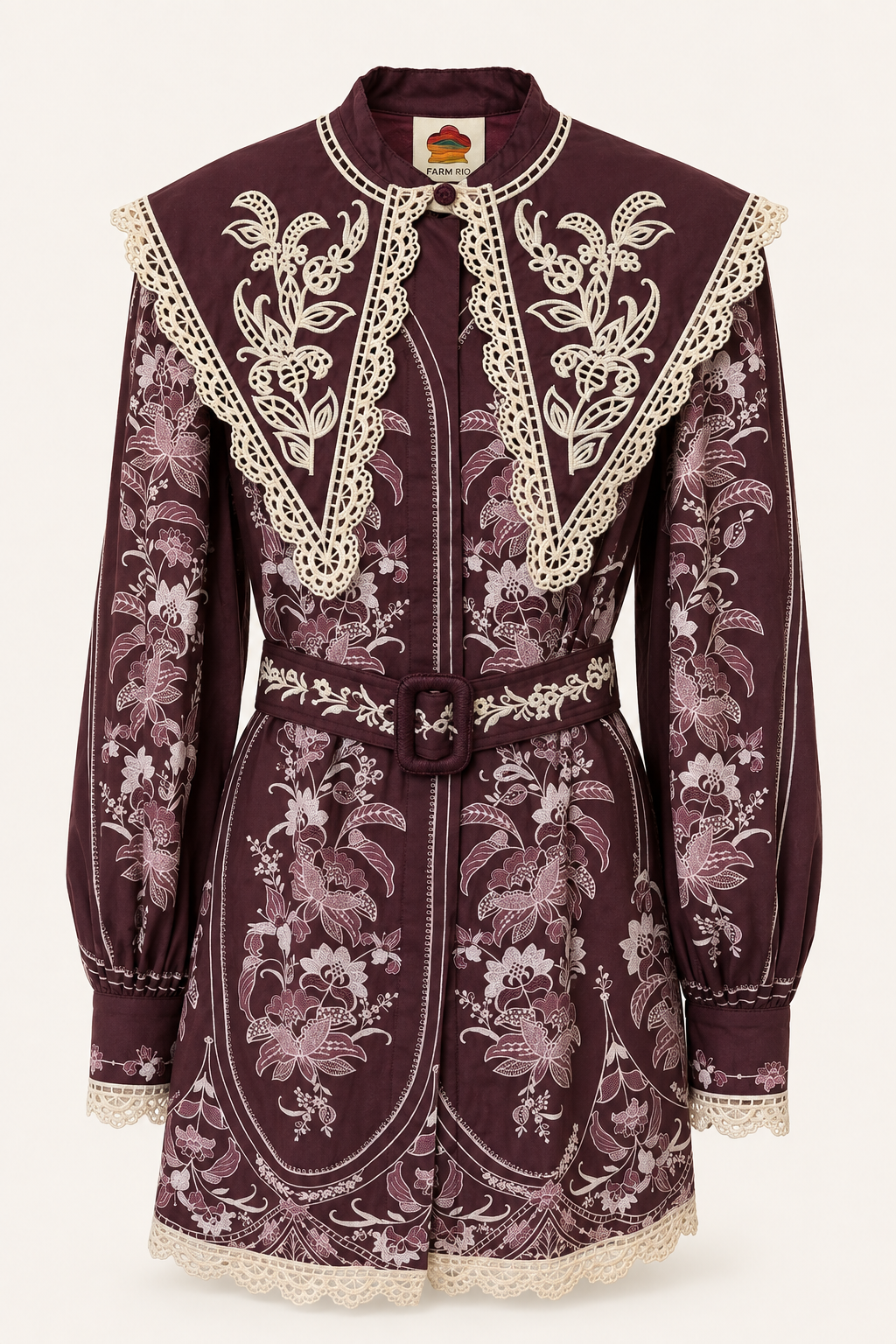 Embroidered Burgundy Collar Mini Dress