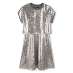 Silver Sequins Dress