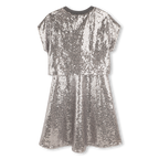 Silver Sequins Dress