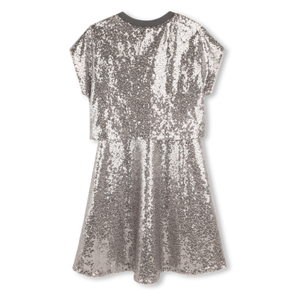 Silver Sequins Dress
