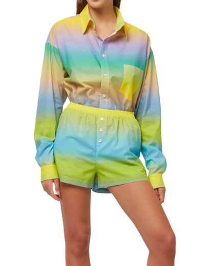 Multicolor Tone Shorts