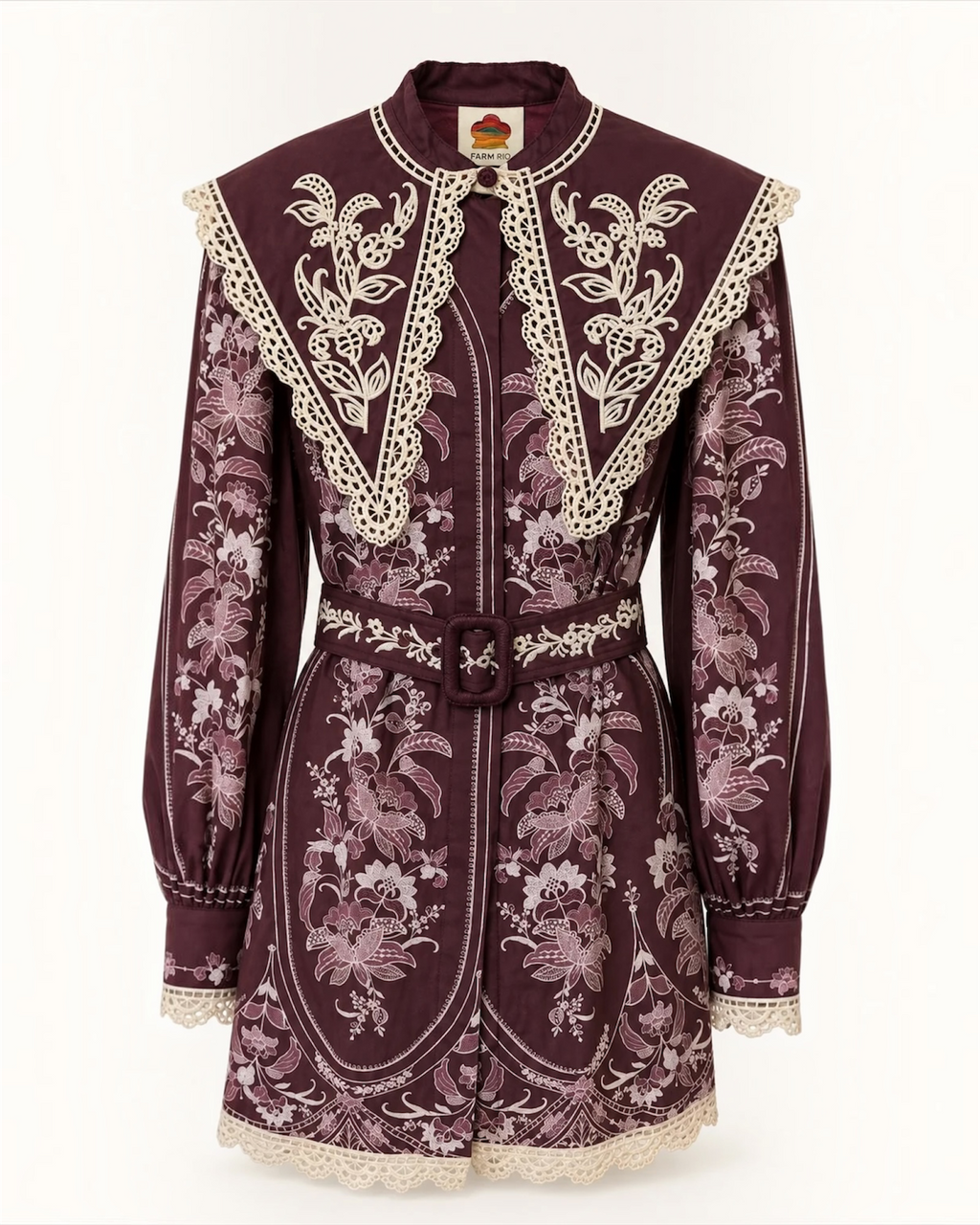 Embroidered Burgundy Collar Mini Dress