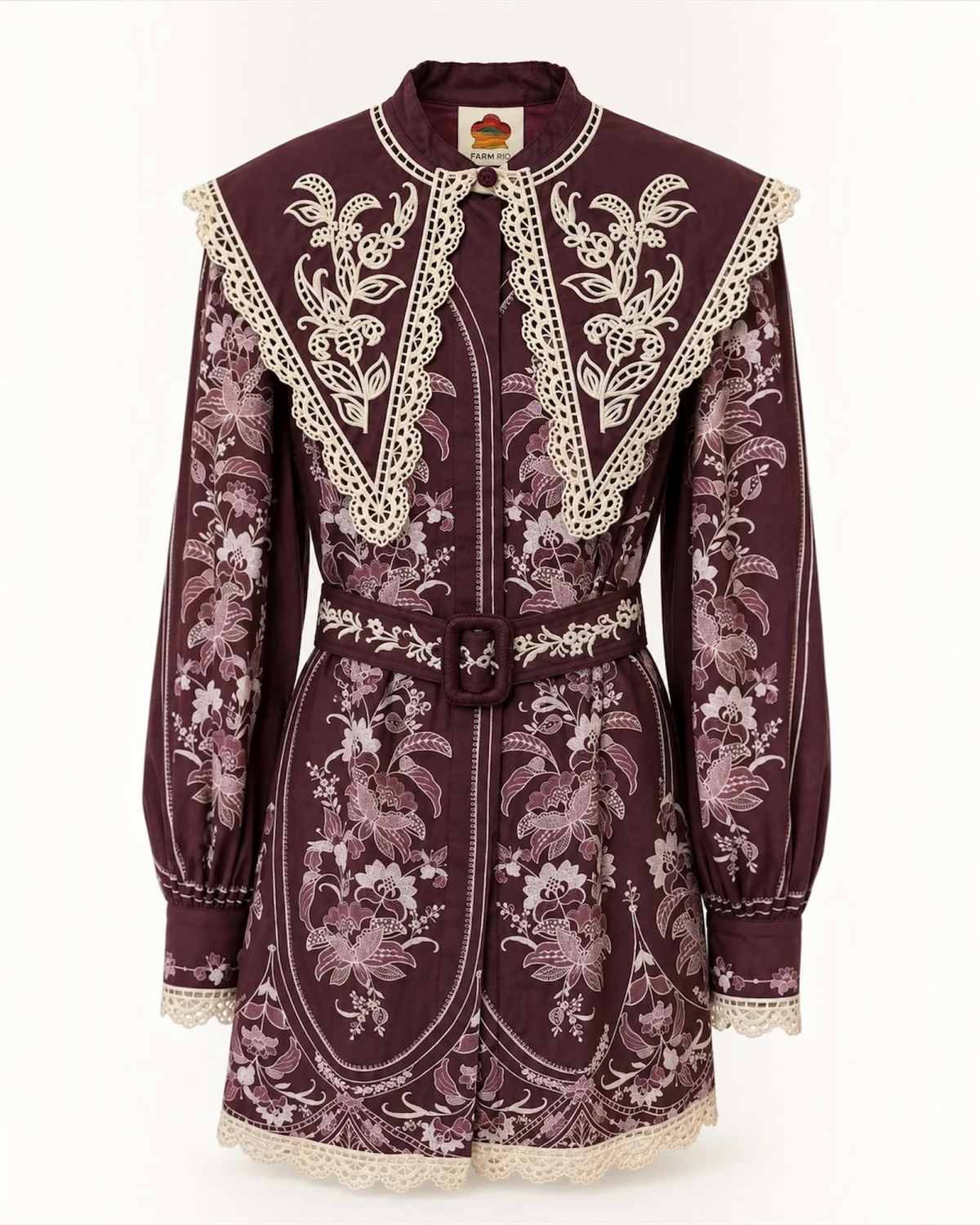 Embroidered Burgundy Collar Mini Dress