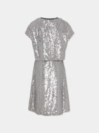 Silver Sequins Dress