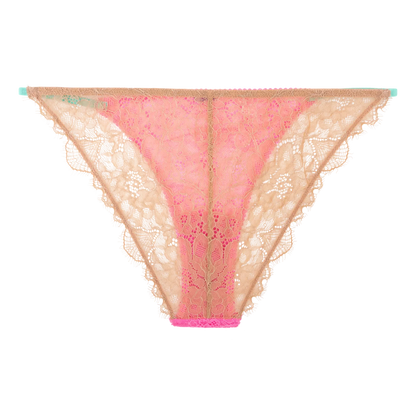 Wild Rosie Lace Briefs