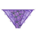 Wild Rose Comfortable Lace Briefs