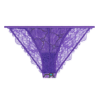 Wild Rose Comfortable Lace Briefs