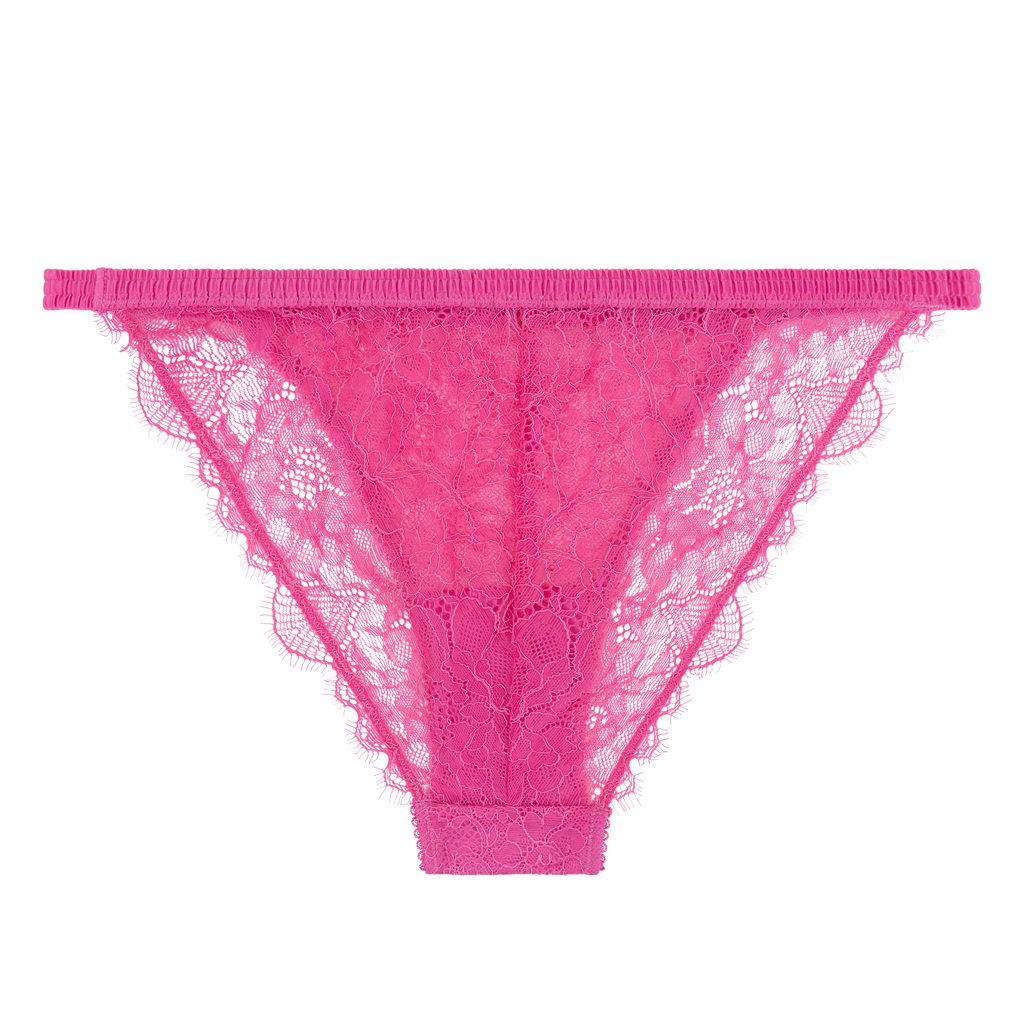Wild Rose Comfortable Lace Briefs