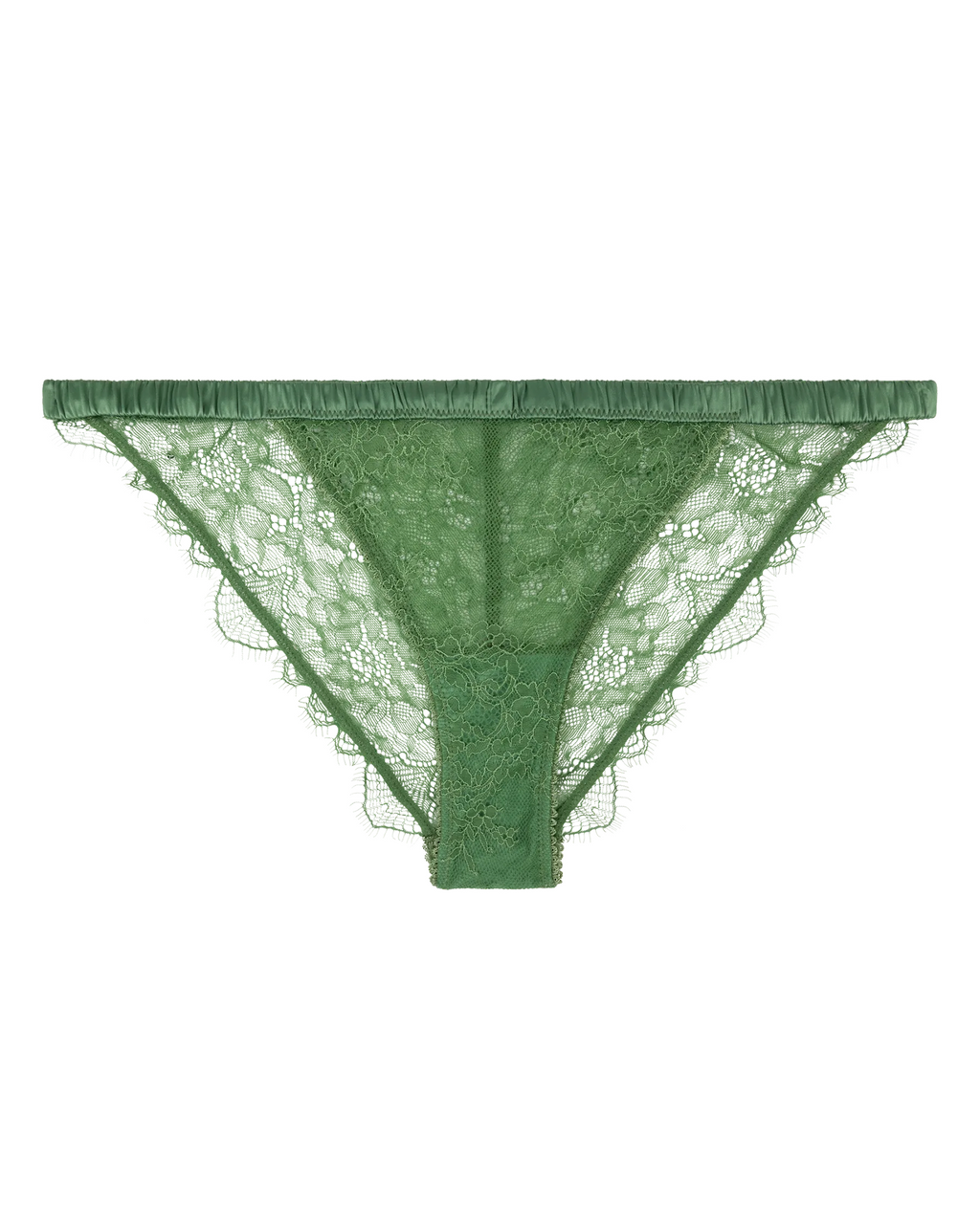 Wild Rose Comfortable Lace Briefs