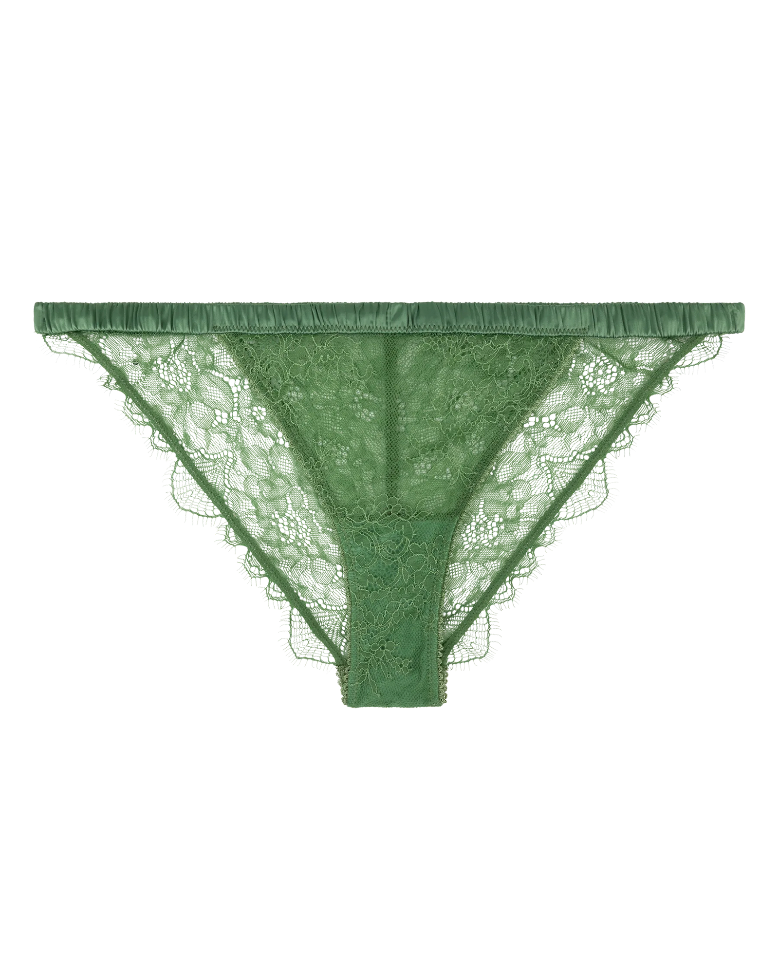 Wild Rose Comfortable Lace Briefs