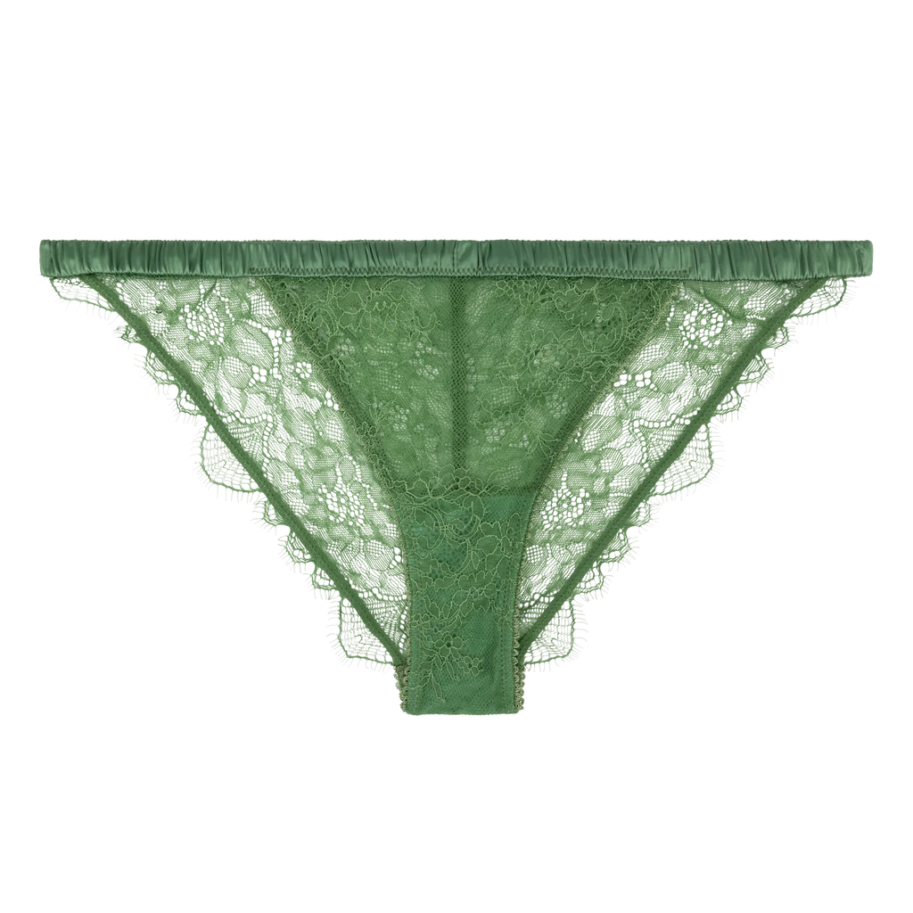 Wild Rose Comfortable Lace Briefs