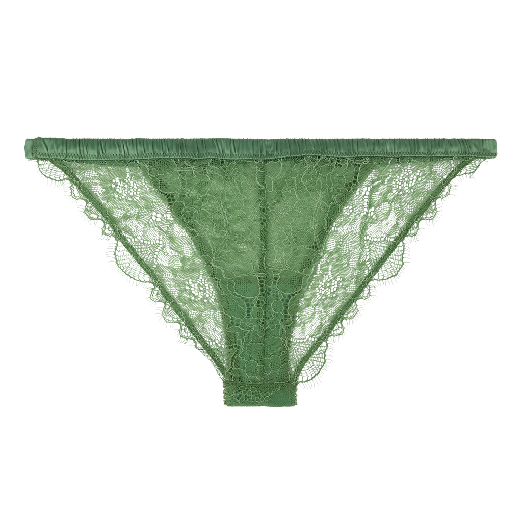 Wild Rose Comfortable Lace Briefs