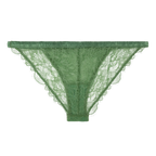 Wild Rose Comfortable Lace Briefs