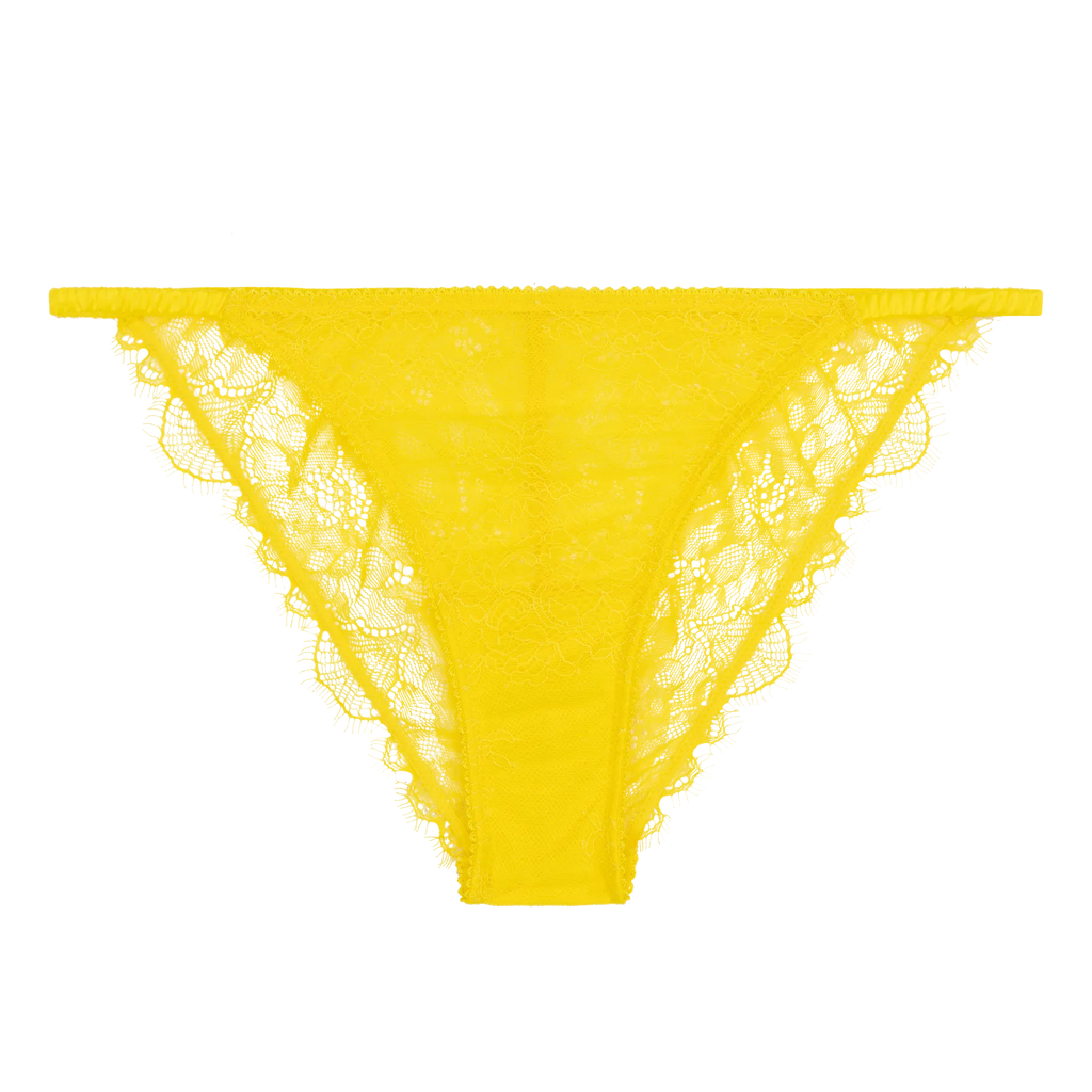 Wild Rose Yellow Delicate Briefs