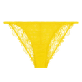 Wild Rose Yellow Delicate Briefs