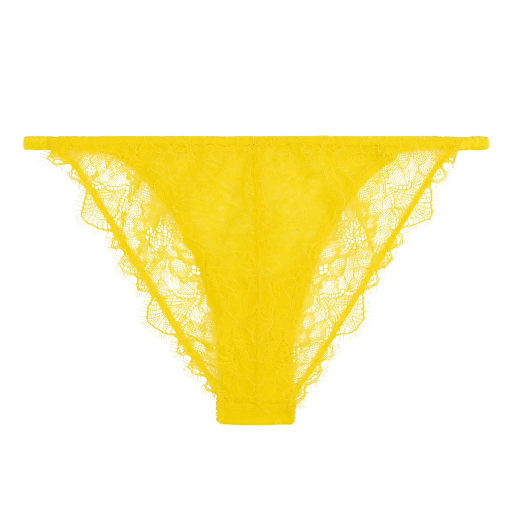 Wild Rose Yellow Delicate Briefs