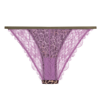 Wild Rose Comfortable Lace Briefs