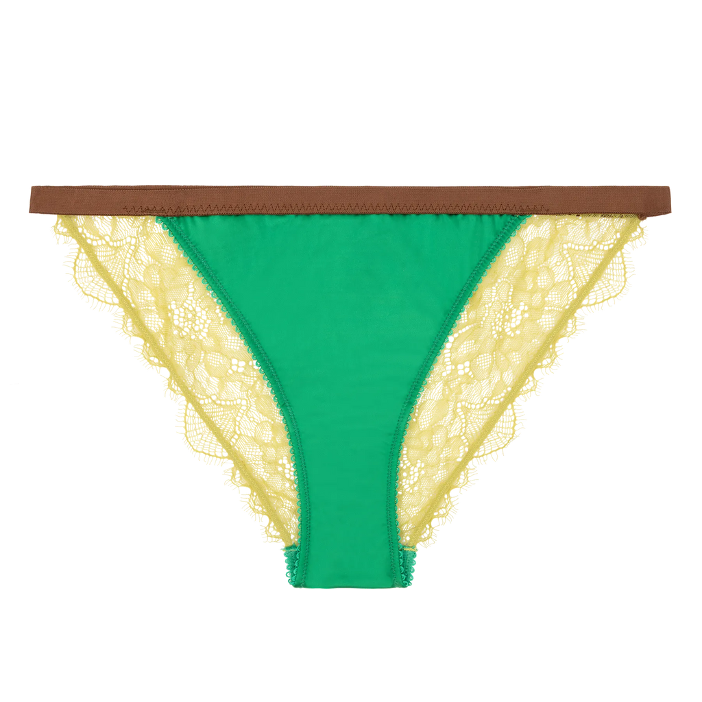Wild Rose Comfortable Lace Briefs