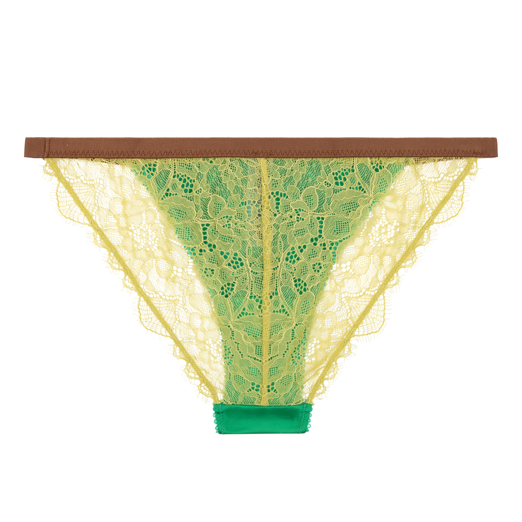Wild Rose Comfortable Lace Briefs