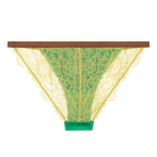 Wild Rose Comfortable Lace Briefs