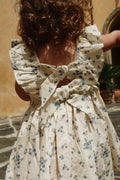 Cianna Flowers Dress