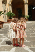 Cianna Flowers Dress